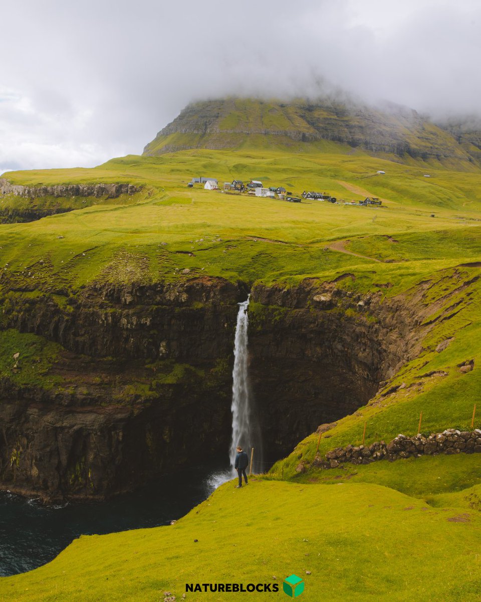 natureblocks's tweet photo. There is an unquantifiable amount of beauty across the world.

At Natureblocks, we believe in protecting this beauty.

Not only do we want to protect nature, but we want to reinforce it with proper financial infrastructure that incentivizes sustainability.

Read more on our blog! https://t.co/HIJwmyKTkM