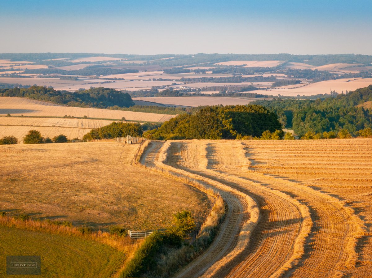 thorneh's tweet photo. A balmy evening harvest scene, with the tinder dry Chiltern Hills gently rising in the East.  #harvest #LowburyHill @Anna_Dillon https://t.co/JZTBw3Zt19