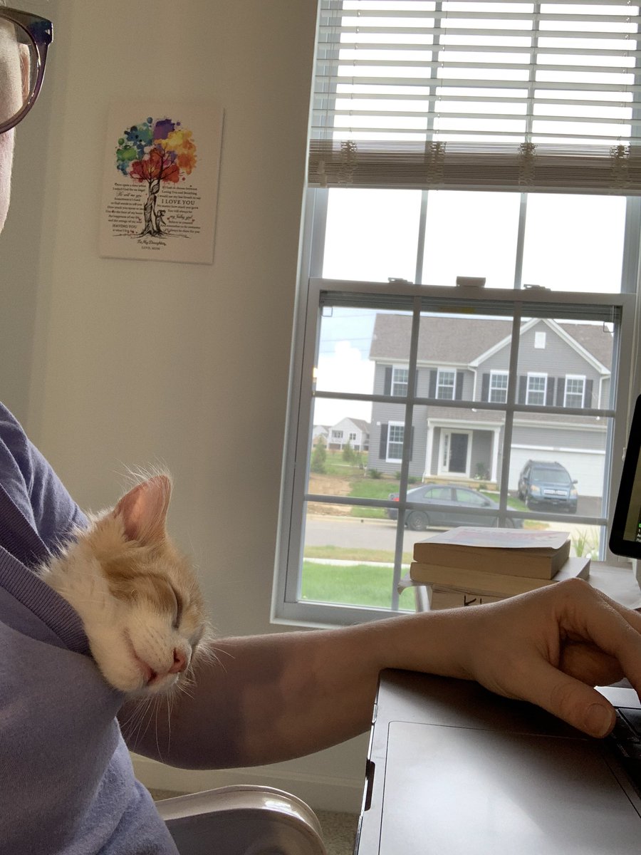 Grant writing with a wiggly kitten hack