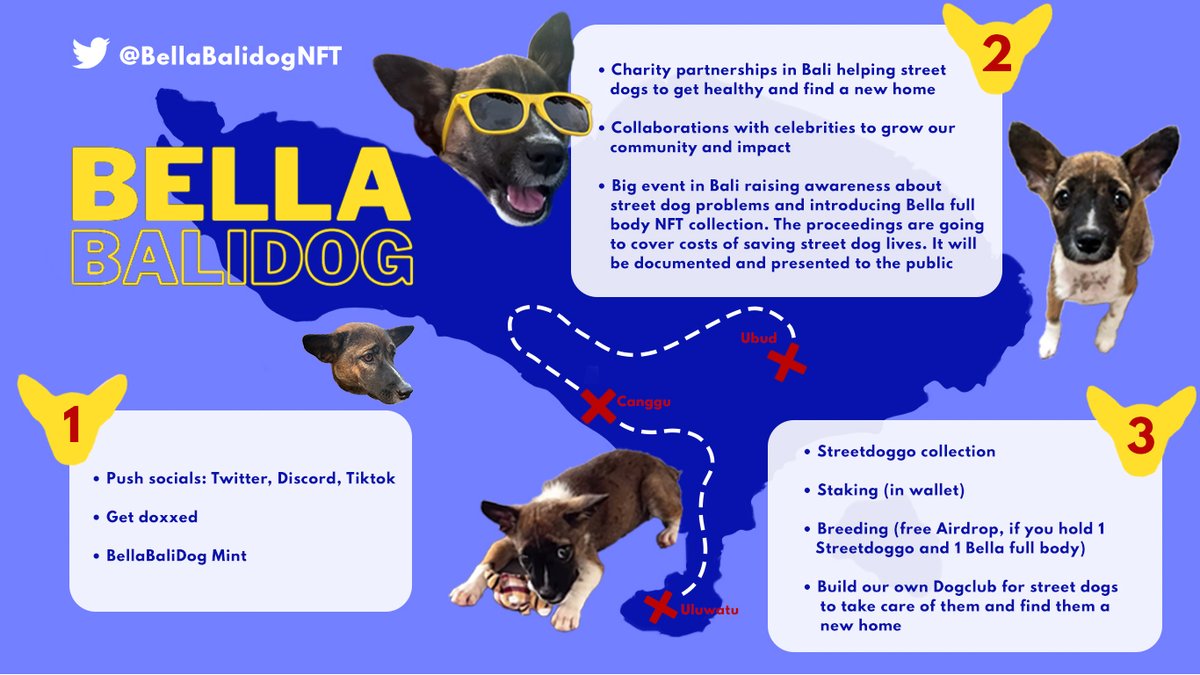 BellaBalidogNFT's tweet photo. Discord open now: 
https://t.co/xw3fPf3kYh

 1. Roadmap online🚀
 2. Collabs begin🚀🚀
 3. Bella under water sneak peek🚀🚀🚀

When charity?

Like &amp; retweet for wl https://t.co/qacSiMxSWK