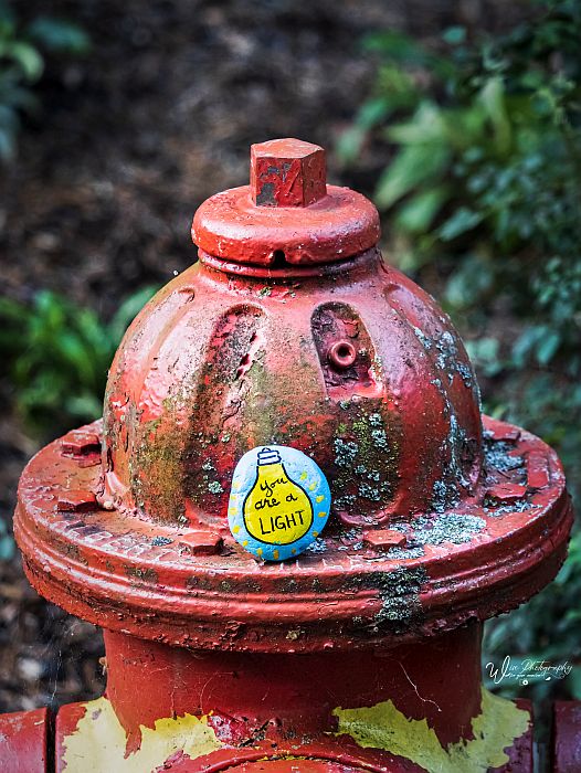JennyWisePhotos's tweet photo. August 13: Kindness Rock
https://t.co/BJSWem2kjK
#kindnessrock #rock #kindness #kindnessrockproject #paintedrock #firehydrant #redfirehydrant #hydrant #trend #paintedrocktrend #funrock #love #ayouarealight #light #kindnessrocksoftwitter #paintedrocksoftwitter https://t.co/UZmrl3TaNW