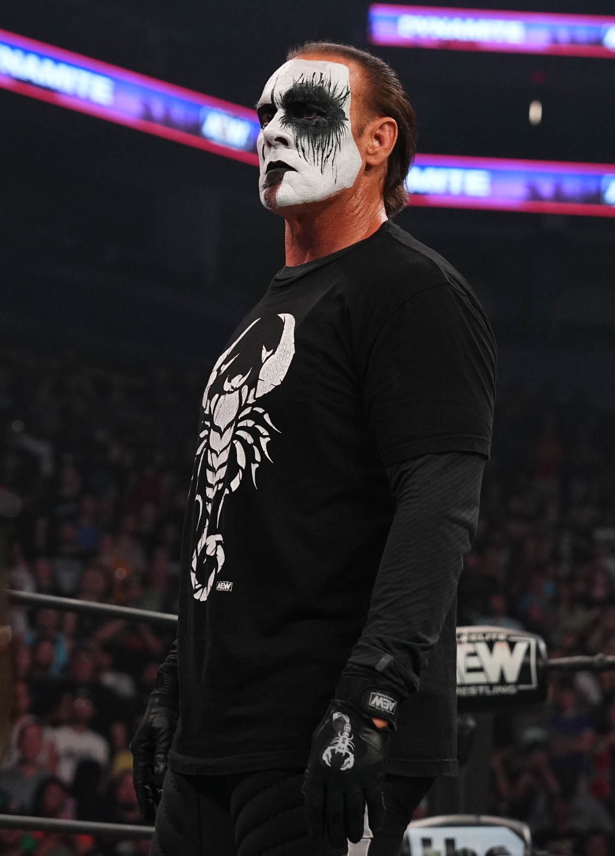 sting to aew