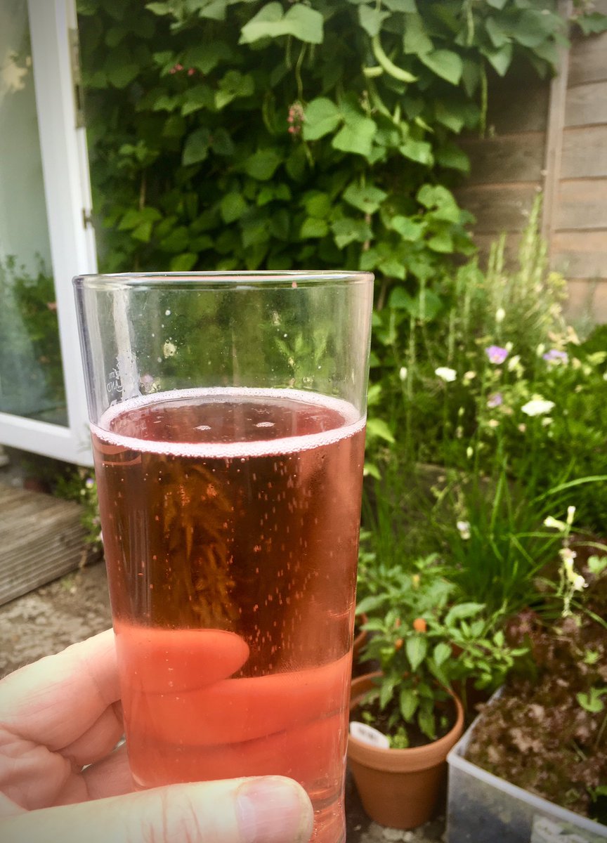 keithtesterliv1's tweet photo. Cheers from the “Amazing what you can grow in a small space “ plot, a nice Thatchers Rose Somerset cider. #cider #garden #smallplot https://t.co/ethuxfw1ZX