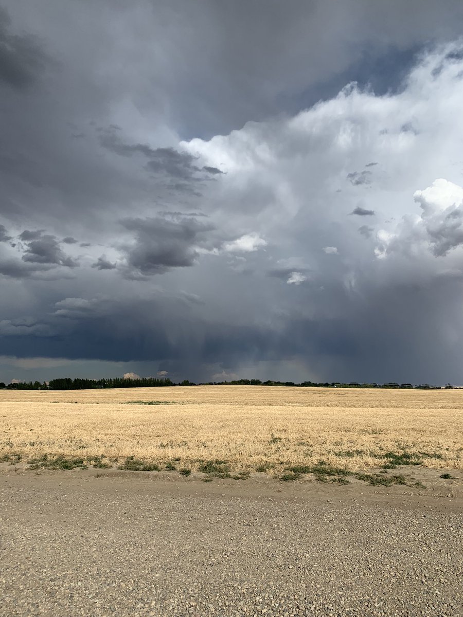 amanda_deeley's tweet photo. Beautiful from the backside- another thunderstorm warning #abstorm #farming #harvest22 https://t.co/2YWdE3wqVH