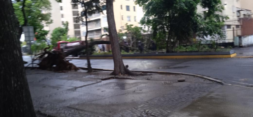 hectorjhy's tweet photo. Ya bomberos solventando la tranca del tránsito a causa de la caída de un árbol en la California norte #ReporteVial https://t.co/vE7GZYqkPk