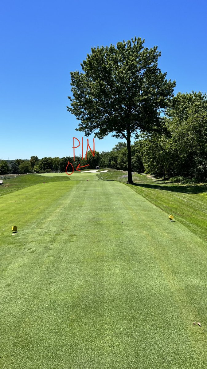 Megan Grosky tweet media