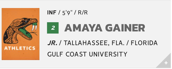 Blondgainer's tweet photo. So blessed to say—I have a Rattler and a Nole to support this year! #softball/Football#LeaveNoDoubt😊 https://t.co/NiR4RHZ9hJ