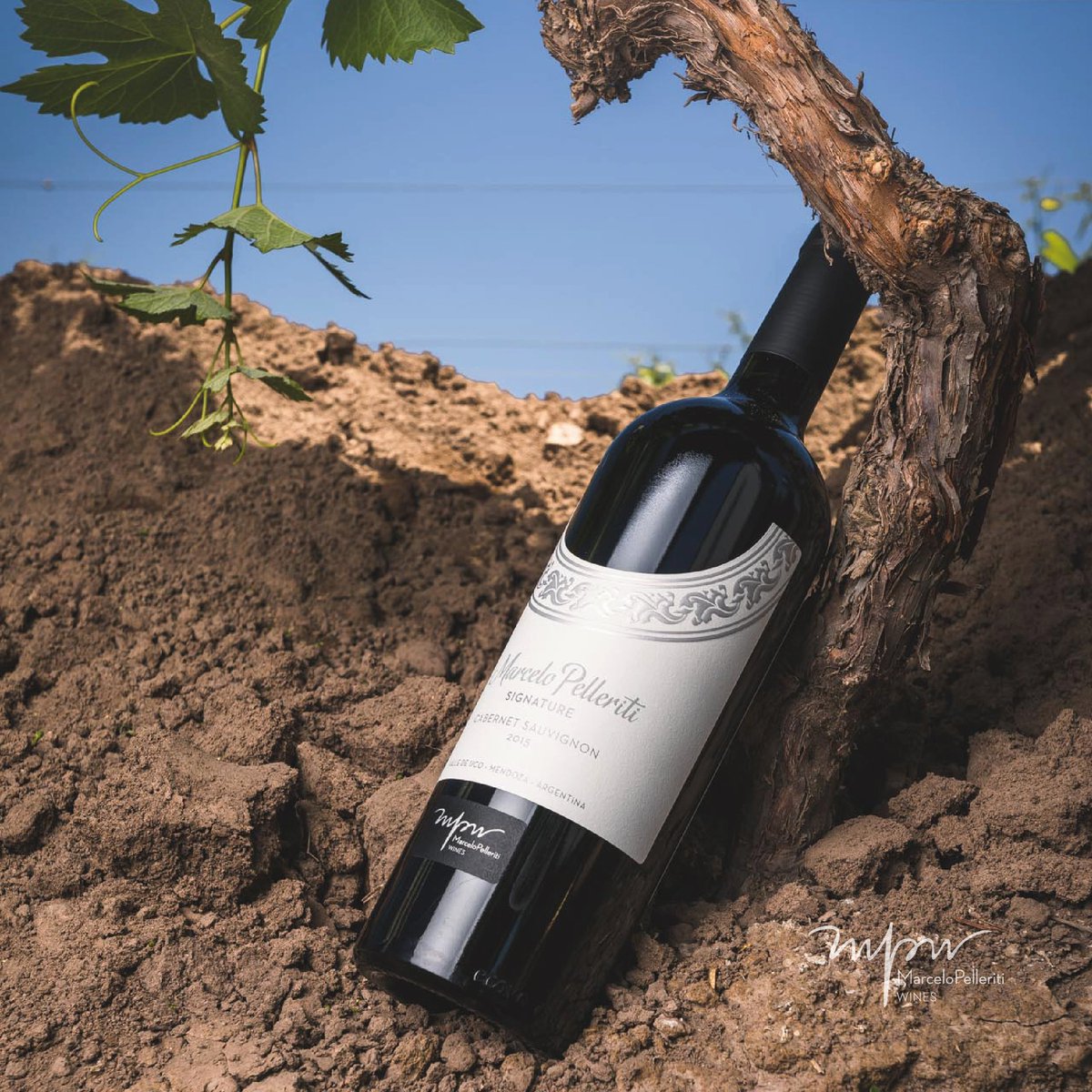 #SignatureMPW Cabernet Sauvignon, nace en Vista Flores, Mendoza, Argentina a 1.000 msnm, en un suelo franco limoso de origen aluvional, con gravas en subsuelo y sedimentos calcáreos. Surge un vino que se destacada por su equilibrio, frescura y taninos suaves. #MPWines #Argentina