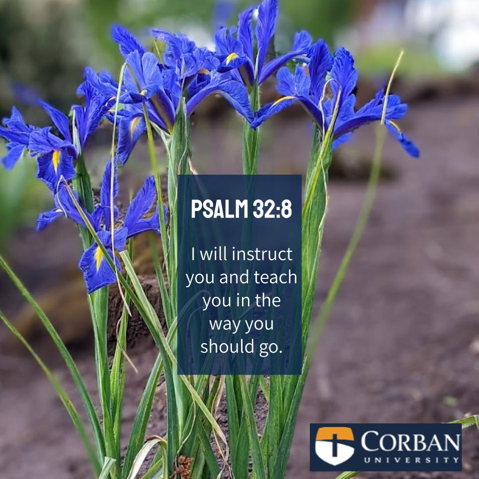 Corban School of Education tweet media