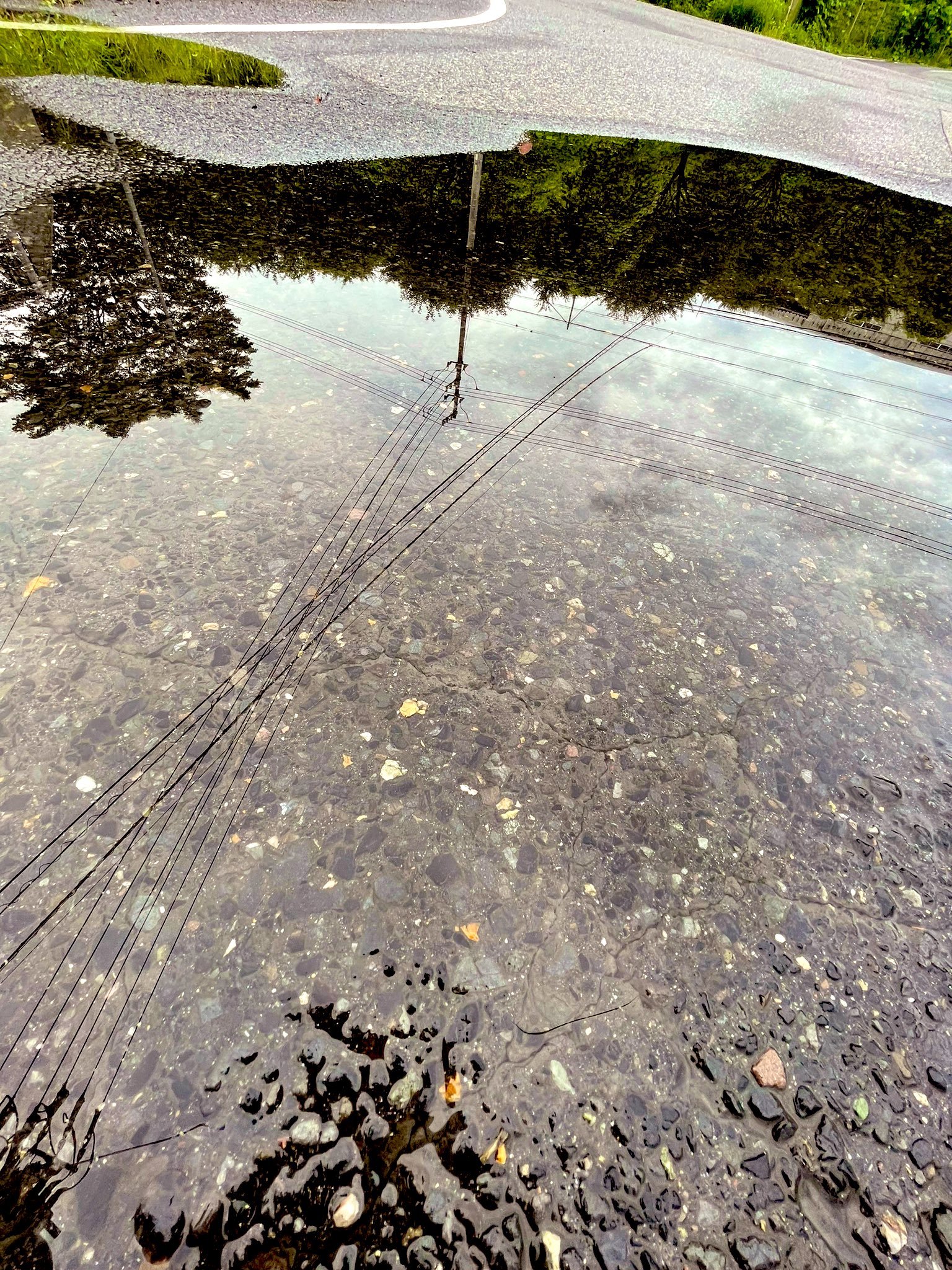 水溜まり Twitter Search Twitter