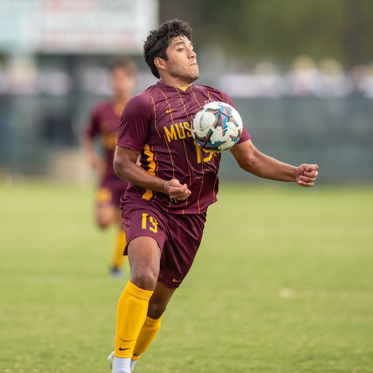 MSUMustangs's tweet photo. M SOCCER | @msutxfc took Stang Park for a friendly against MACU on Saturday. The Mustangs open the season against No. 9 Colorado Mesa in a mere 11 days in Laredo. #StangGang https://t.co/6iY4RZEjoq