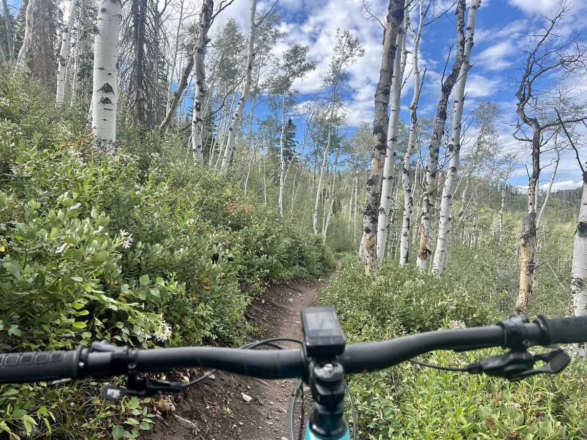 S T E A M B O A T 🥰