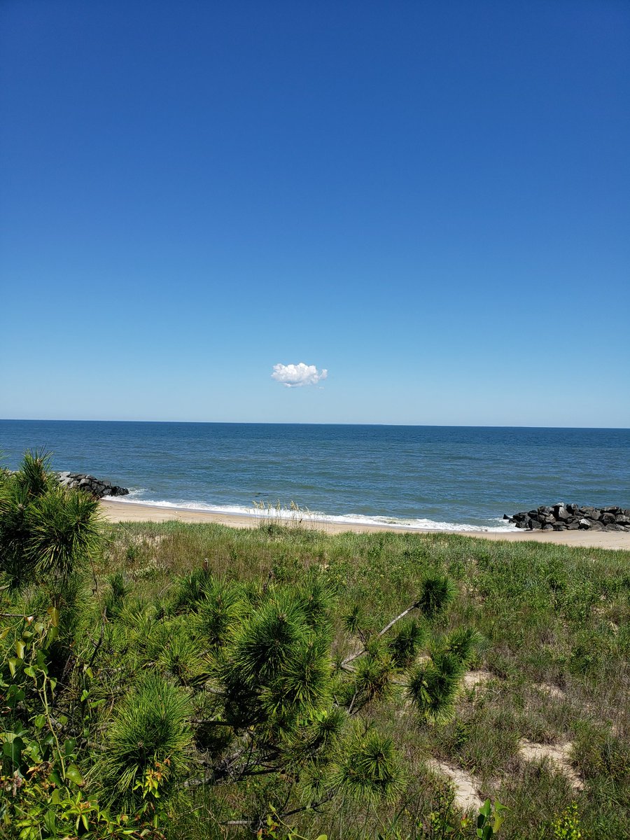 just4jax72's tweet photo. @_WeatherStove 
Found it.
#findthatcloud
@JEBLCFS https://t.co/UMNoFSqXg3