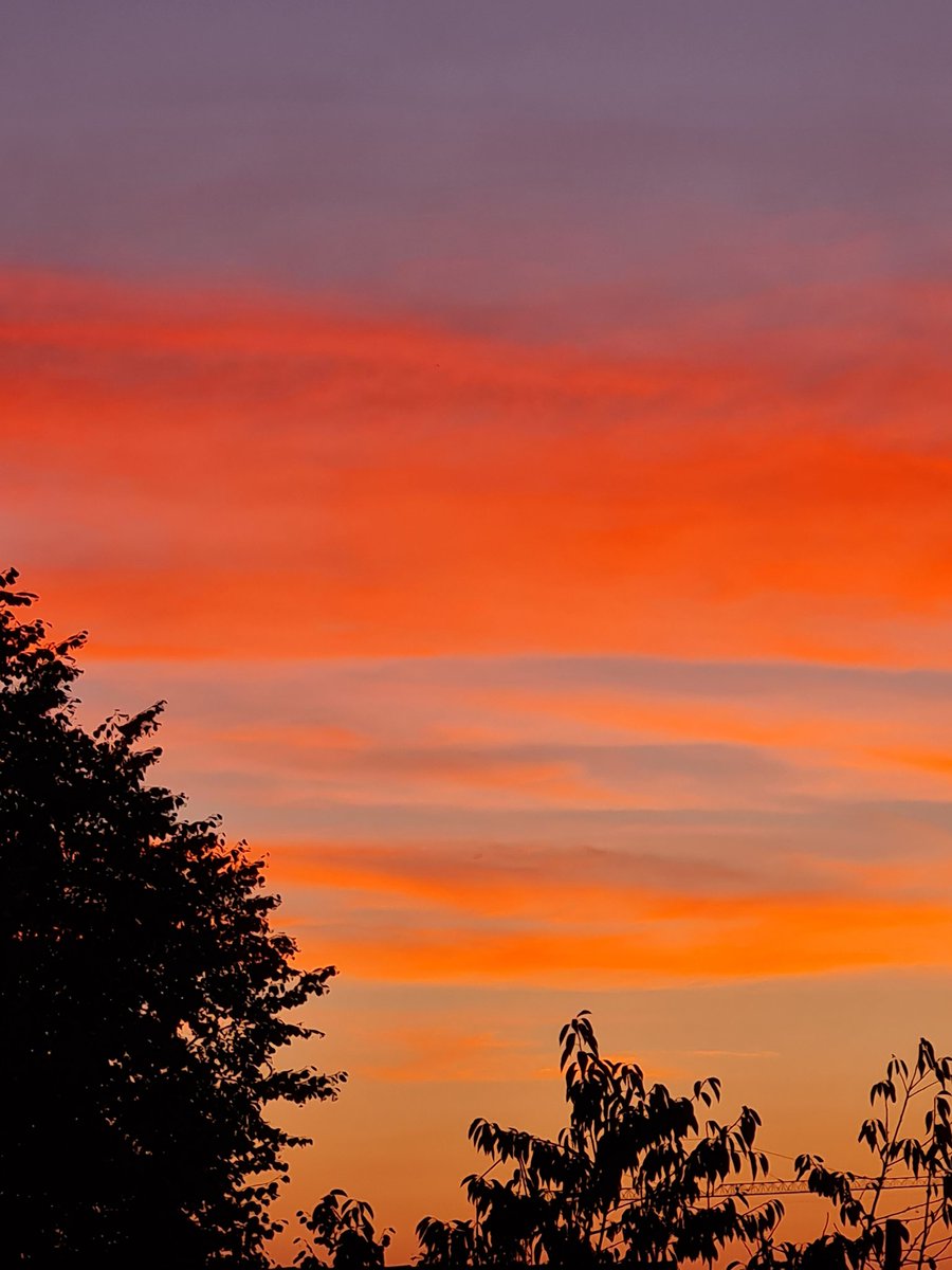 Alatarielle2's tweet photo. Sonnenuntergangsstreifen🤩 #Colourflash https://t.co/lZ6iLZxJzy