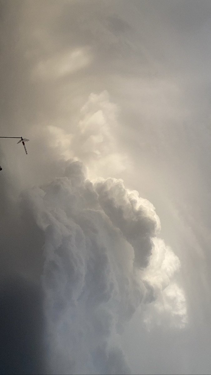 Summer storm. ⚡️