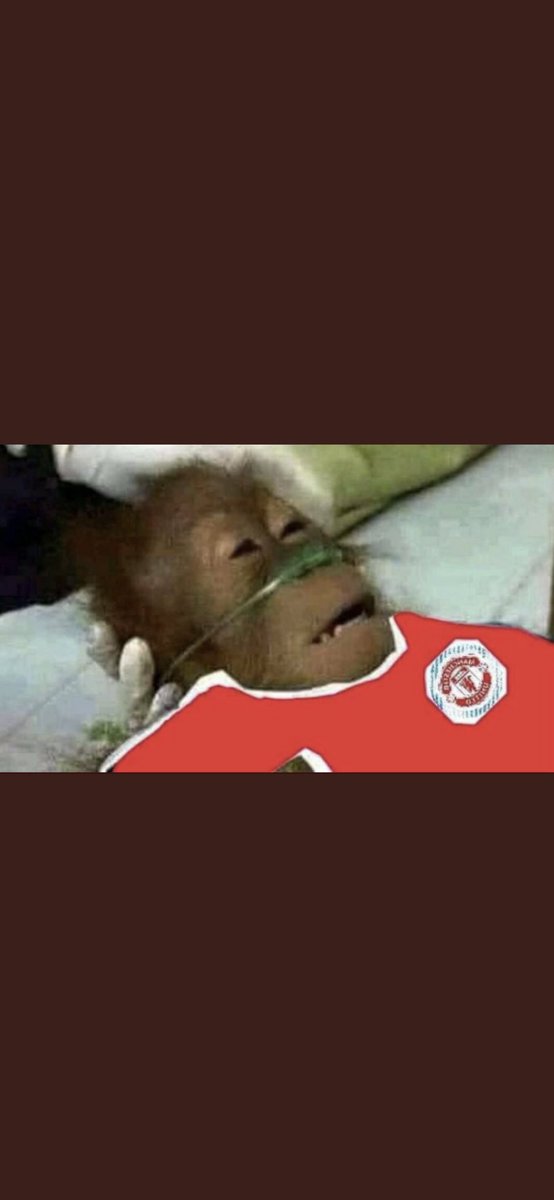 joshenright5's tweet photo. That is the craic, we are poison #mufc https://t.co/z2njReKUx1