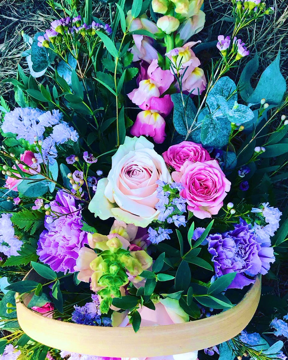 Melonpatch3's tweet photo. Beautiful blooms with pastel petals.🌸💜 https://t.co/g2g3n1CkQb