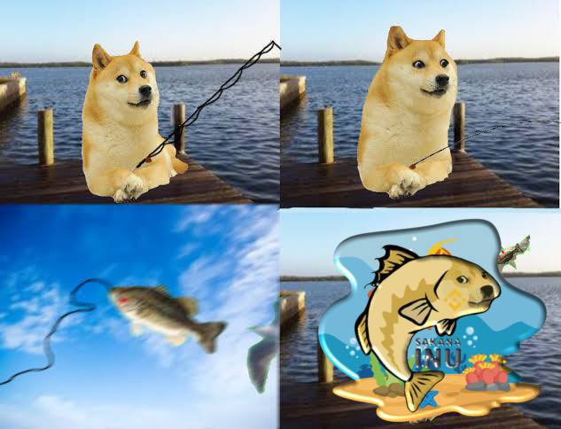 sakanainu_'s tweet photo. @1goonrich You like fish and doge 

Come join this community
https://t.co/QZ7Sg3kU3q
#SakanaInu #Sakana #SINU #SakanaArmy https://t.co/T4sNnKQzEQ