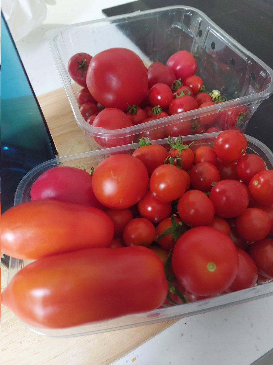 APlot35's tweet photo. The cucumbers and the runner beans may have been killed off by the heat but the sunflowers, rudbeckia, cosmos, dill and statice (my fav 😍) are fine, not watered at all and so many tomatoes now! https://t.co/jG30kLYWGN