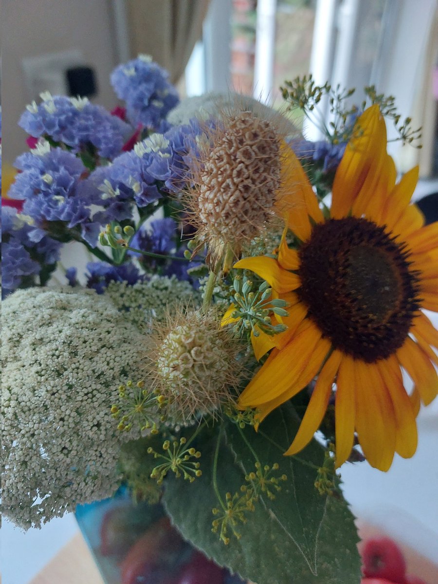APlot35's tweet photo. The cucumbers and the runner beans may have been killed off by the heat but the sunflowers, rudbeckia, cosmos, dill and statice (my fav 😍) are fine, not watered at all and so many tomatoes now! https://t.co/jG30kLYWGN