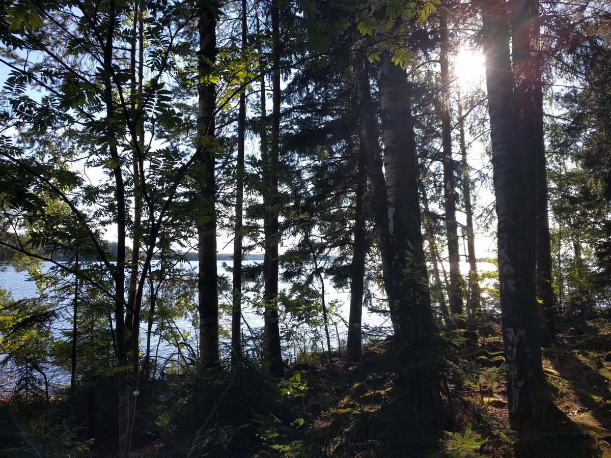 Juhacks's tweet photo. Went to a place that is too perfect to be Paradise. #EndOfSummer2022 https://t.co/DCzQCiYm7j