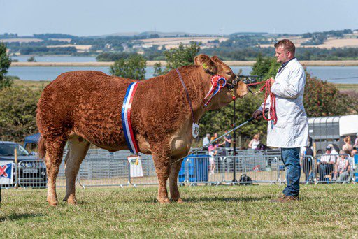 Kinross Show tweet media