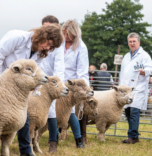 Kinross Show tweet media