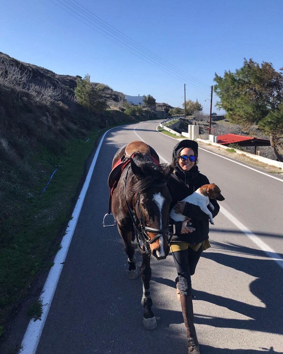 SplashedWhite5's tweet photo. Really miss the time when I was riding horses with my friends in Greece https://t.co/LwvlQcJLrG