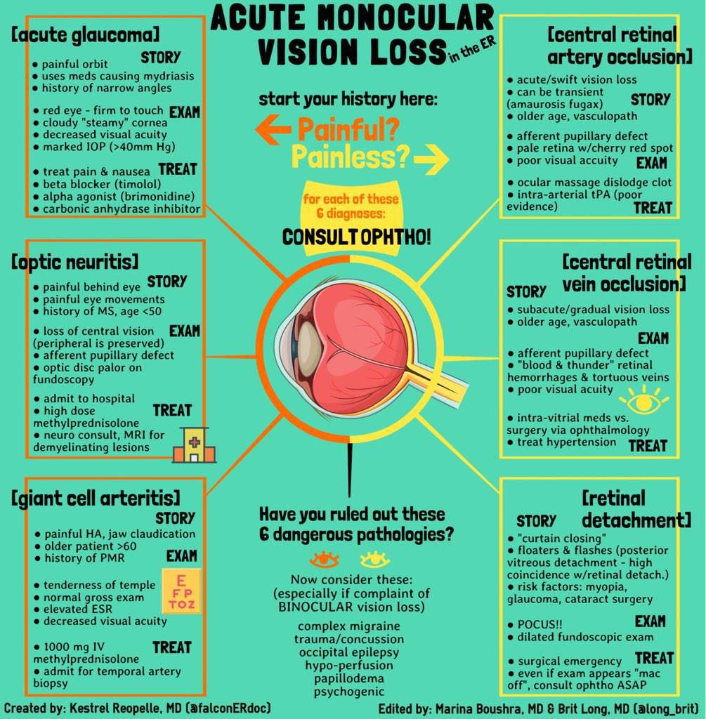 Medical_MD1's tweet image. Acute Vision Loss Differential Diagnosis 👁

.