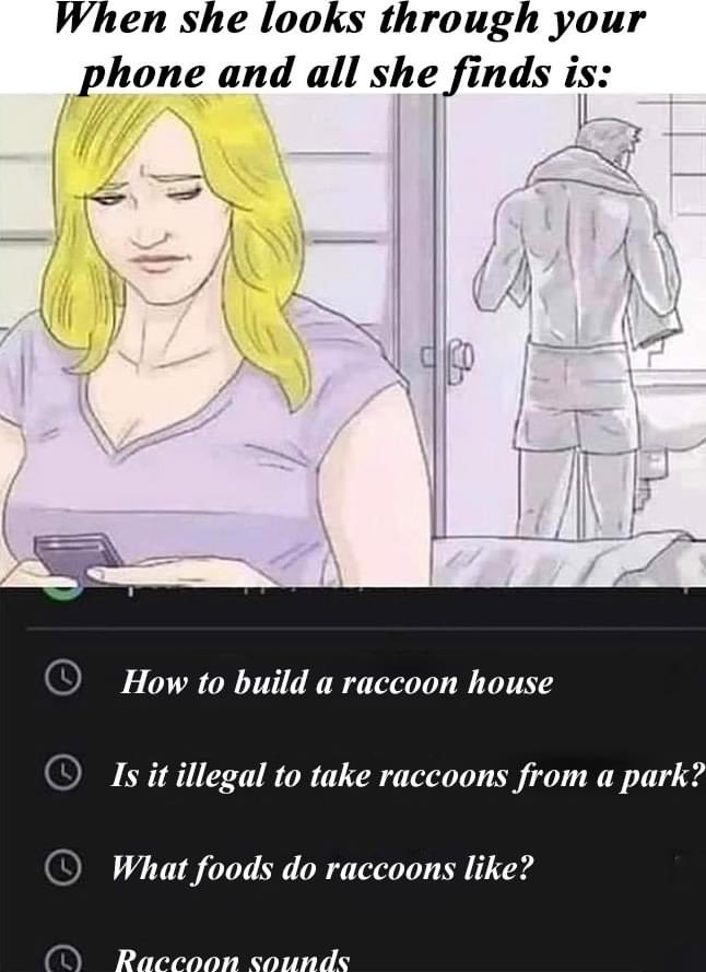 ARAI ❤️🦝 (@sweetraccoons) on Twitter photo 