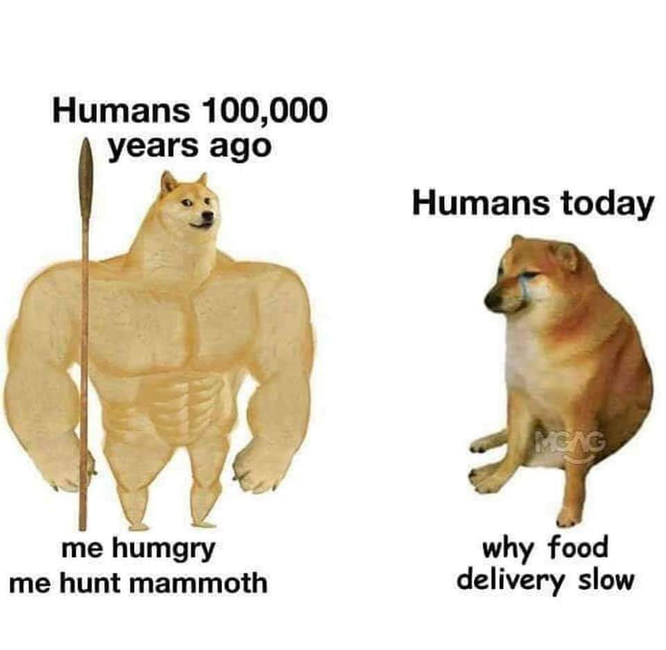 Ma food,  next thing u get bugs