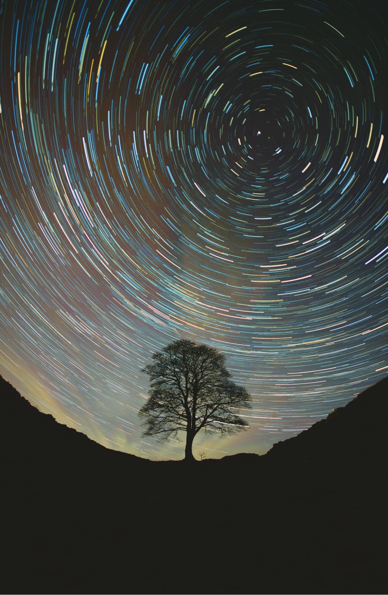 marksmcneill's tweet photo. SYCAMORE GAP
1/1
380 single images stacked to make an amazing start trail
@foundation
https://t.co/8CB6JIup4w
#nfts #weekendvibes #nftastro #nftfoundation https://t.co/RWJ5dy1FNY