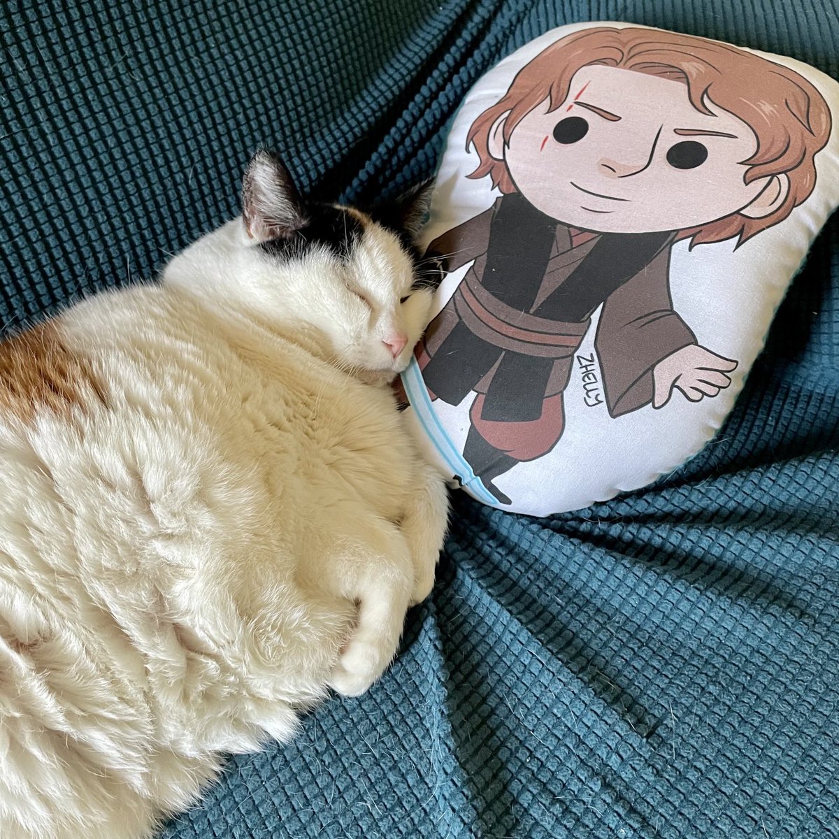 SwatiShahKicker's tweet photo. Awww my Sophia loves Anakin as much as I do ❤️❤️❤️ happy #HotNerdAutumn !!! Show me your #StarWars loving furbabies 

#cats #catsoftwitter #HotNerdAugust #catsofstarwars #anakinskywalker https://t.co/cXhybVdE60