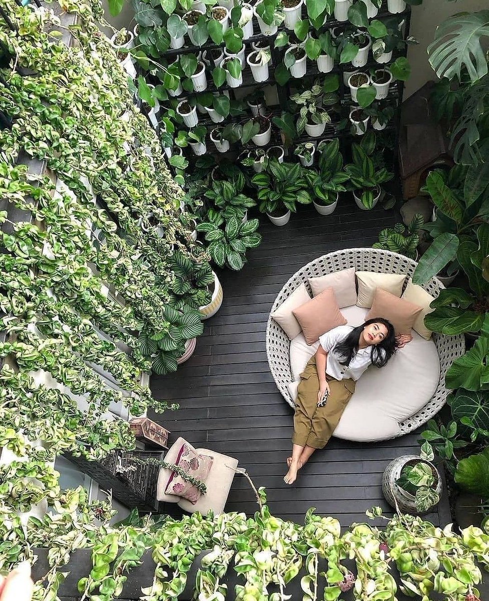 HobbyistPlant's tweet photo. A cozy reading nook 🌿 https://t.co/1rDLoFIYNO