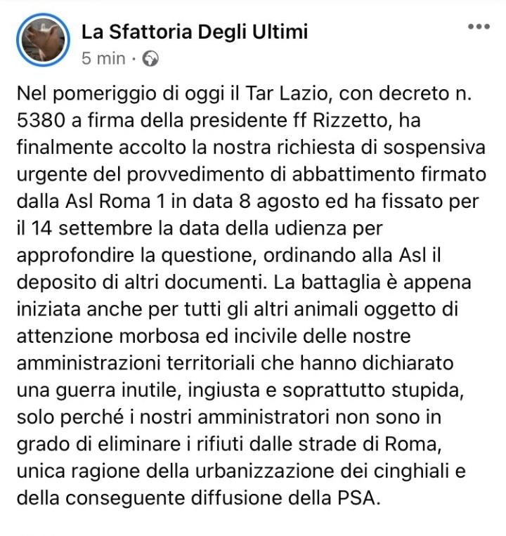 glfelicetti's tweet photo. Vittoria della Sfattoria degli Ultimi, accolto il secondo ricorso al TAR! Il 14 settembre ci sarà l'udienza di merito. Un mese per trovare una soluzione senza uccisioni di maiali e cinghiali, al di là del merito giuridico @nzingaretti @AlessioDAmato_ @robersperanza https://t.co/1R6VEvCjbF