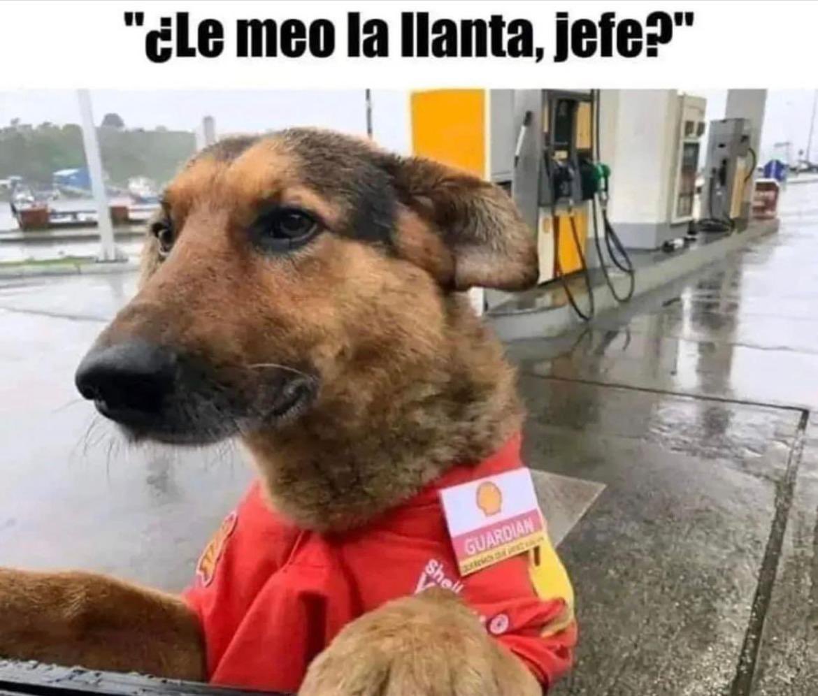 José Alberto Molestina E. 🇪🇨 tweet media