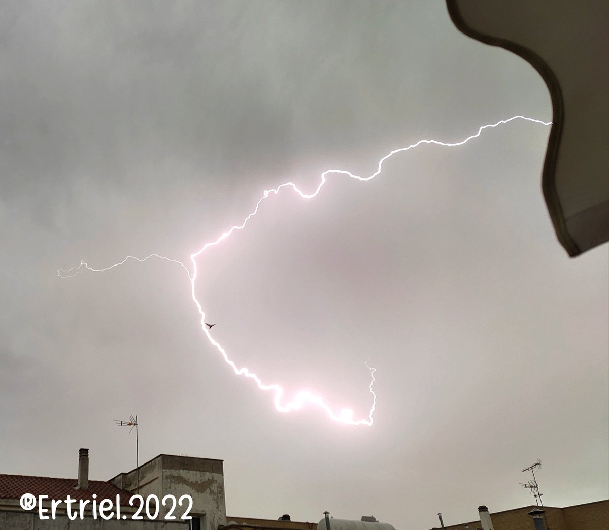 Ertriel's tweet photo. Tormenta vespertina en Ciudad Real capital.
13 agosto 2022 18.45h aprox
(2ª parte)
@meteocr @meteociudadreal @tiempobrasero @ElTiempoCMM @ElTiempoA3 @ElTiempo_tve @ecazatormentas @Carri_stormcha @AEMET_CLaMancha https://t.co/dmYxNwS7j7