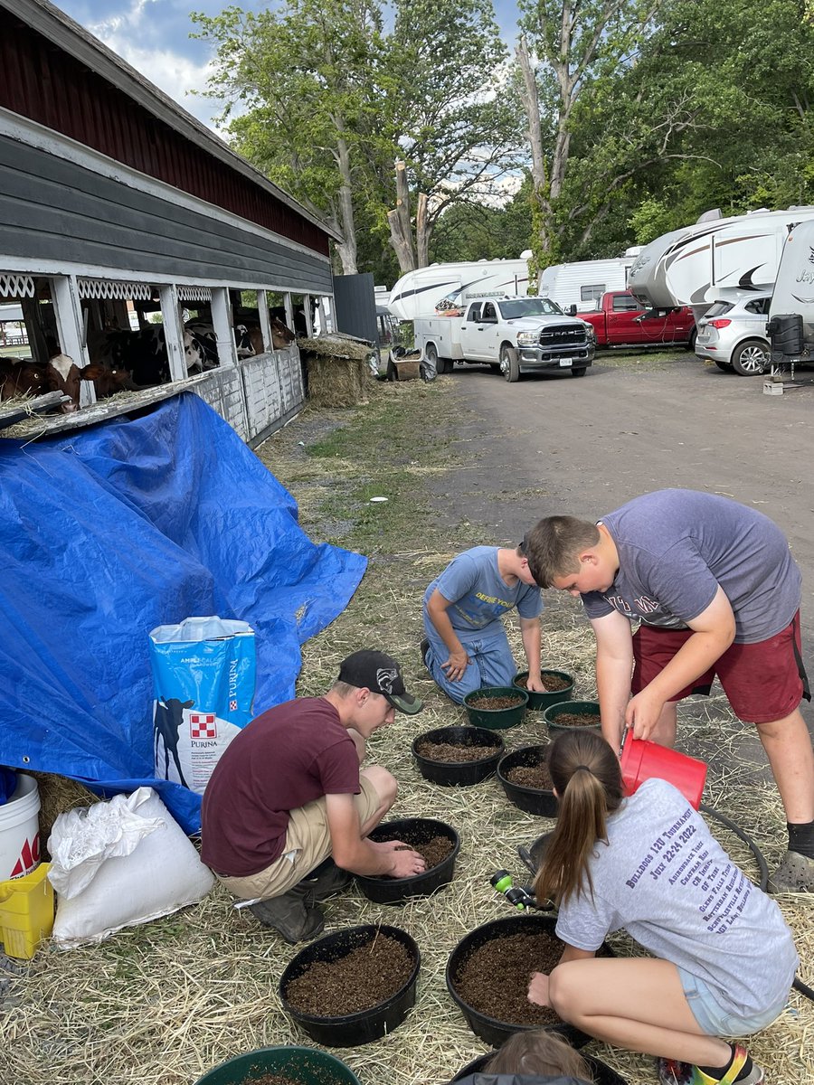 qwan17's tweet photo. Learning by doing.  These kids are becoming experts in dairy nutrition and animal welfare. #dairy #ageducation #knowyourfarmer https://t.co/qwk2OrAOts