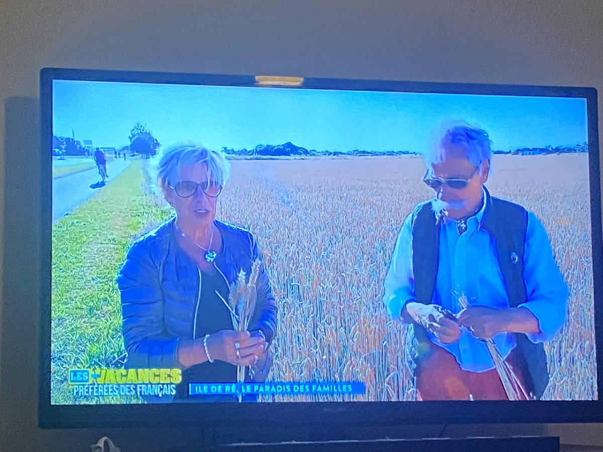 damF032's tweet image. Roger et Colette ramassent tranquillement des épis de blé comme si la parcelle leur appartenait… 🤦🏻‍♂️ @6ter 
Du coup ça vous poserait pas problème que je rentre chez vous ramasser les tomates de votre jardin!!! 
Et @6ter film ça comme si c’était normal…