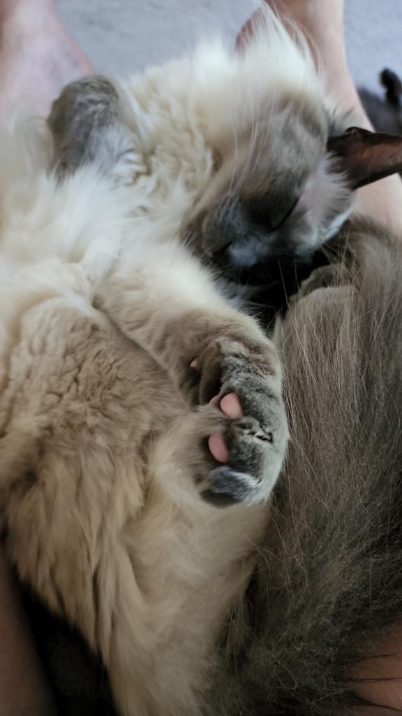 Brian King tweet media