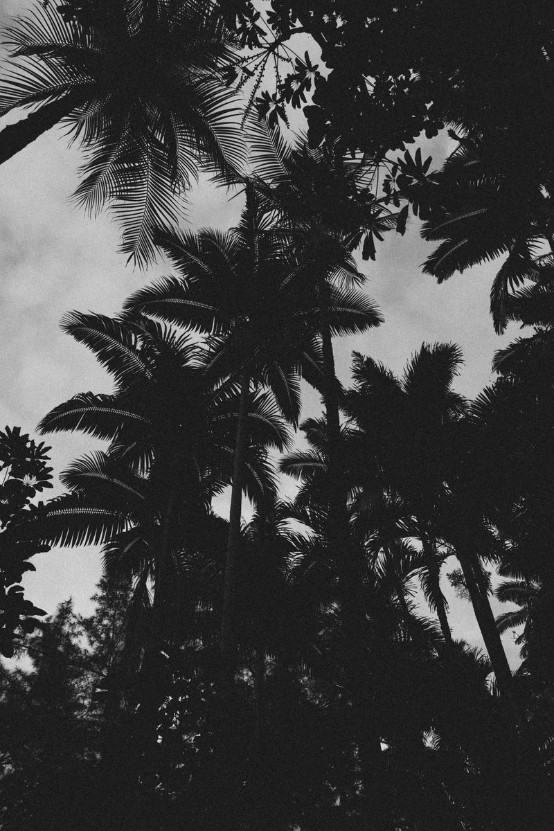 megbatphoto tweet media