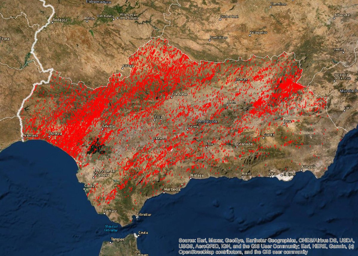 Plan_INFOCA's tweet photo. Hablábamos hoy de "día complicado". Esta imagen, que nos facilitan los compañeros de la Unidad Técnica de Análisis del fuego (#UTAF) de #Granada, nos muestra los rayos caídos en #Andalucía actualizados a las 18.00 horas. Impresiona la densidad de puntos (rayos) en algunas zonas. https://t.co/gXx9iO4BtS