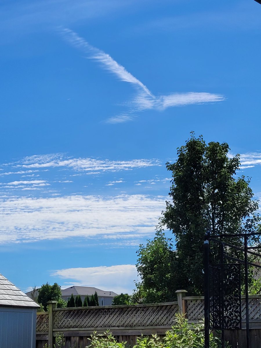 SheBearRawr's tweet photo. #bird flying over me 😍🐦
#clouds #birds #BirdCloud https://t.co/A9cm3Qo81Z