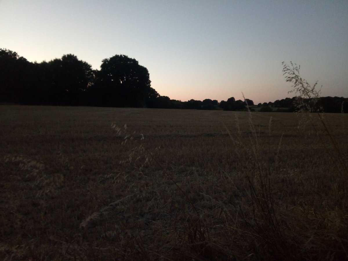 BPJactor's tweet photo. Enjoying the cooler evening and watching the sun go down after a great day's filming today. #actor #film #summer #beerinhand https://t.co/t4f5SgMhJT