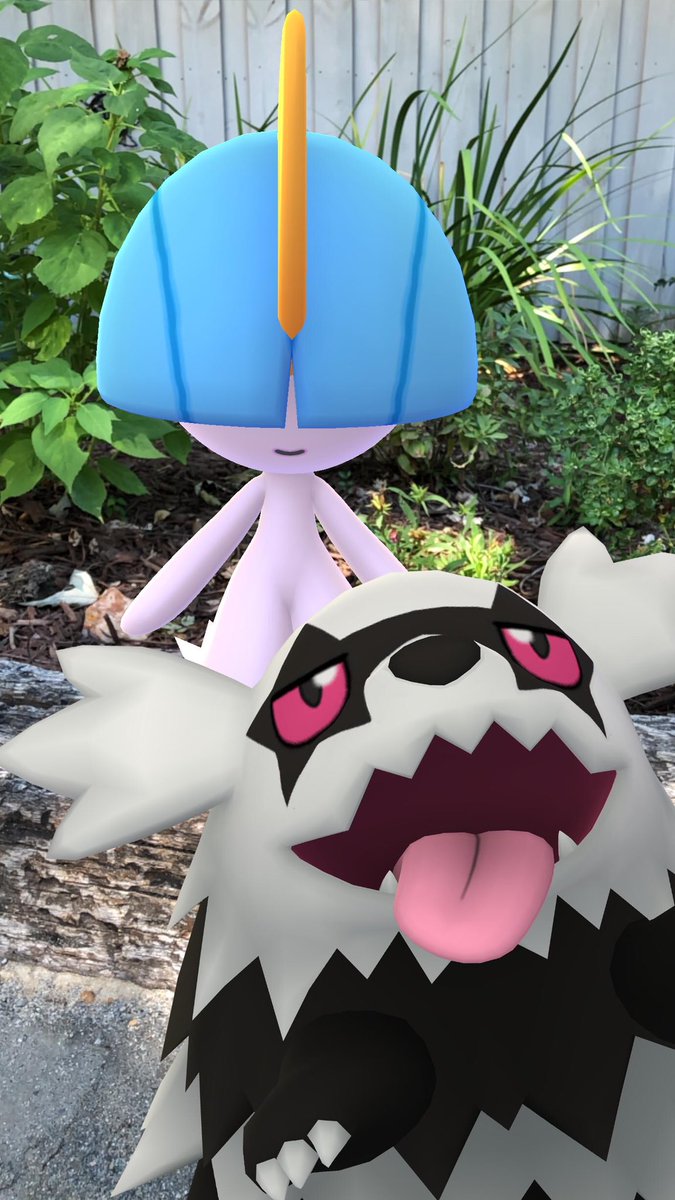 Tyrannotaur's tweet image. Galarian Zigzagoon Community Day was a lot of fun! I’m still hoping we get a Ralts Community Day Classic though!! #RaltsCommunityDay (please Niantic @PokemonGoApp ) #PokemonGO #PokemonGOCommunityDay