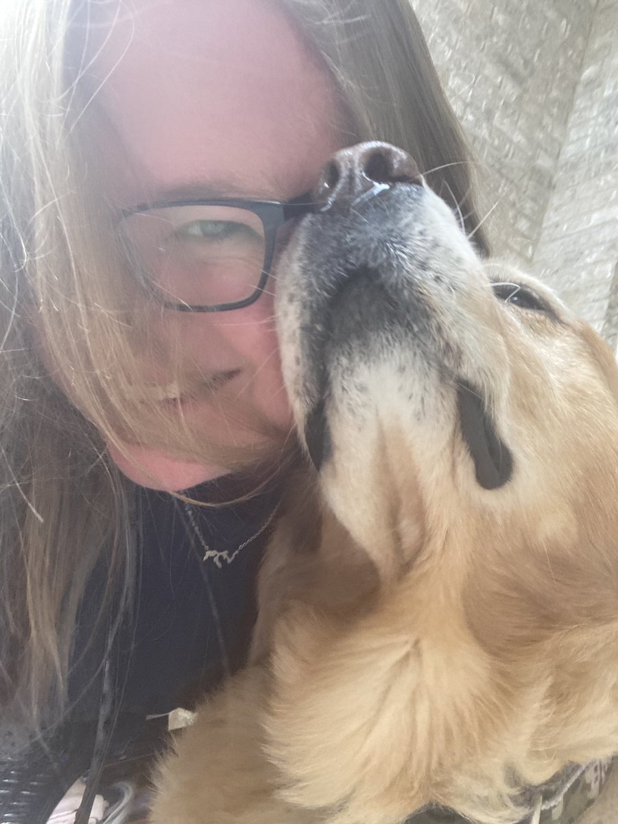 KellyBreenMI's tweet photo. There were THREE dogs at this door and I got to pet ALL of them. This furry love is Bailey. #TeamBreen https://t.co/bL24qVDf6i