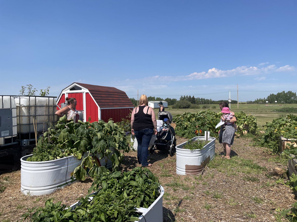 Camrose County tweet media