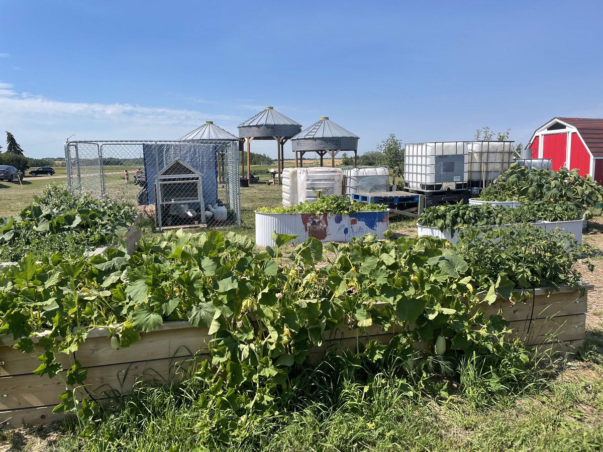 Camrose County tweet media