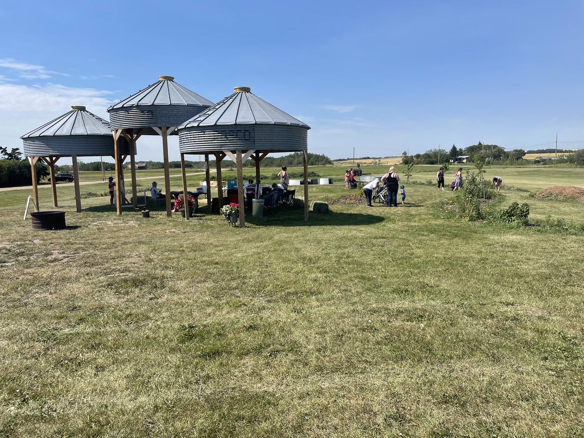 Camrose County tweet media