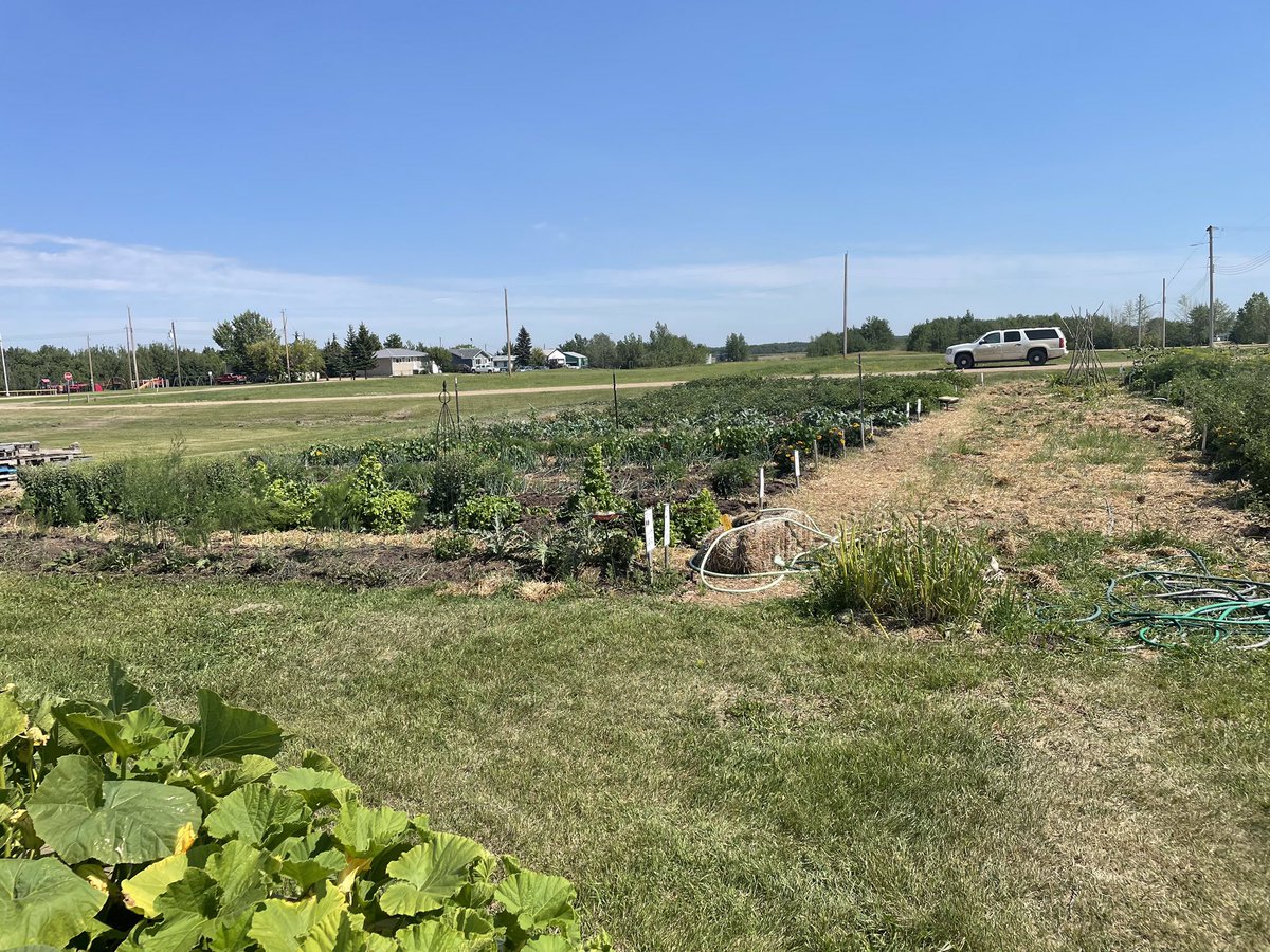 Camrose County tweet media